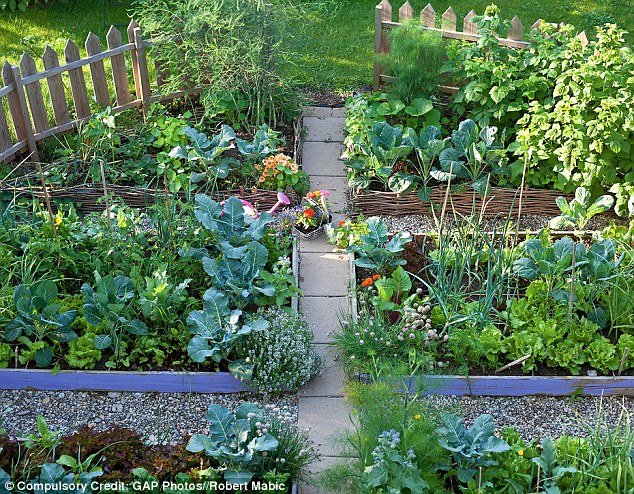 Best Garden Layout