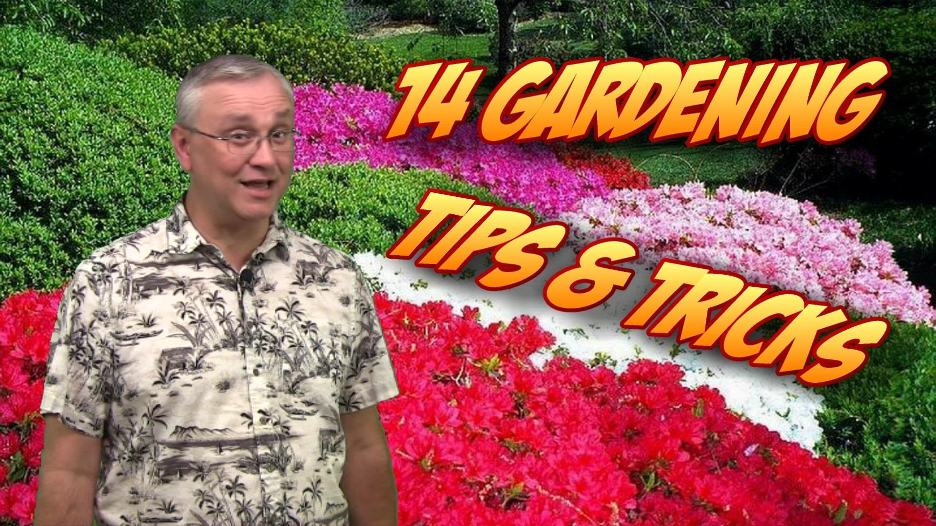 Best Gardening Tips