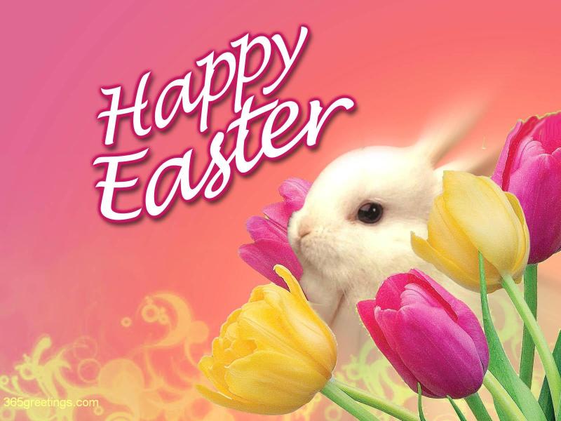 Happy Easter 2017 Greeting
