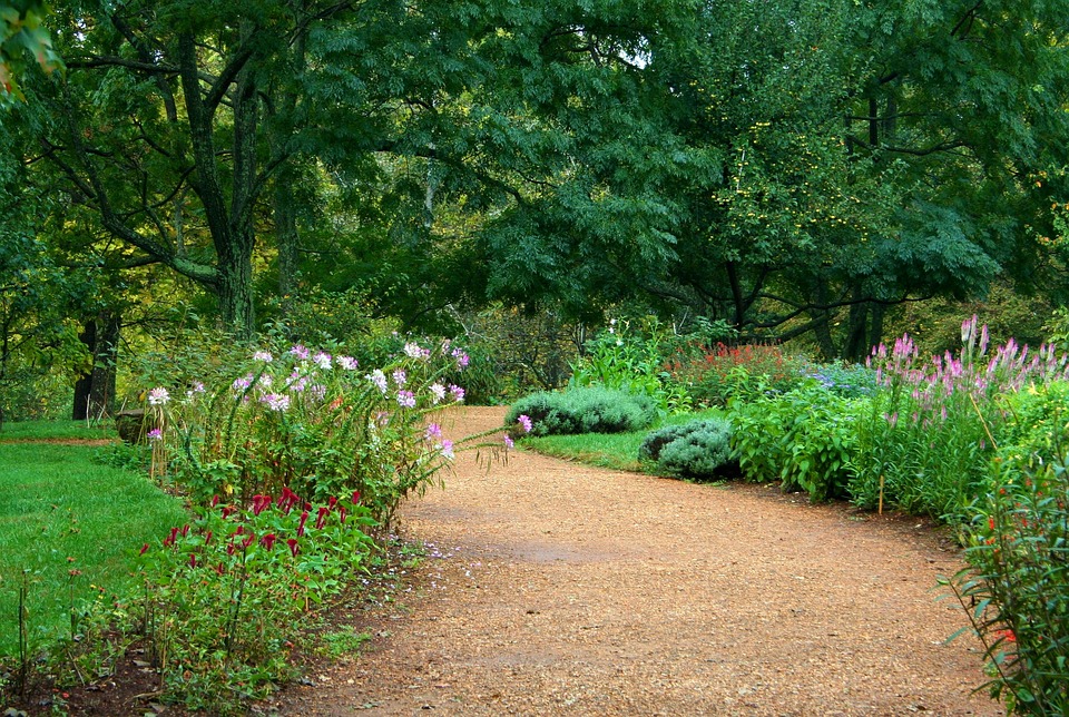 Garden Path Image
