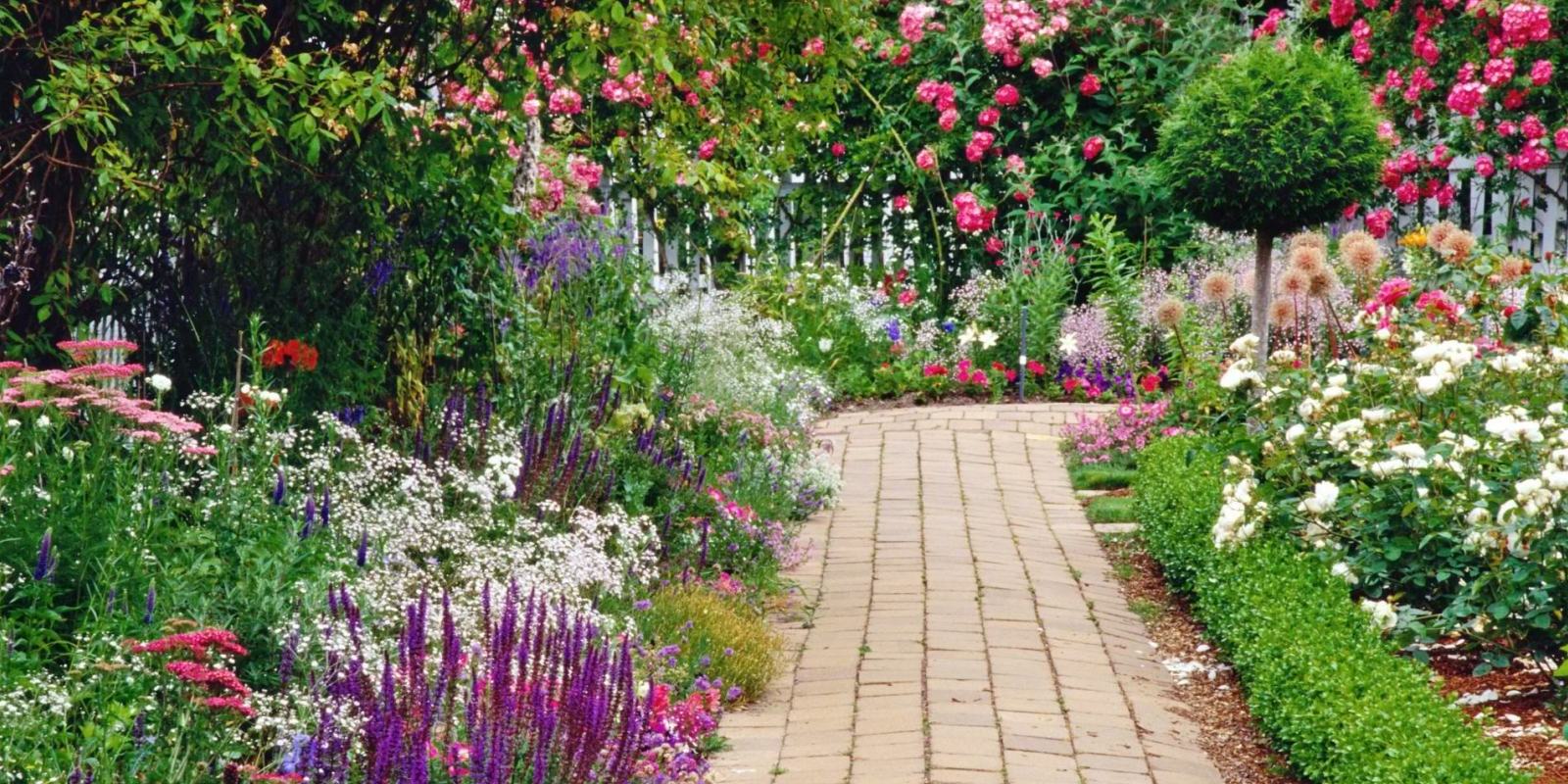 Garden Path Picture
