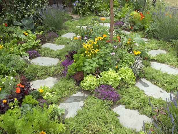 Herb Garden Design Image