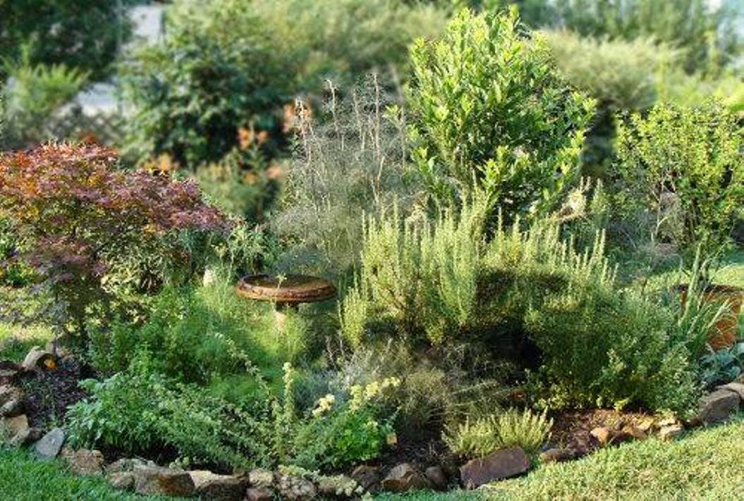 Herb Garden Design Layout