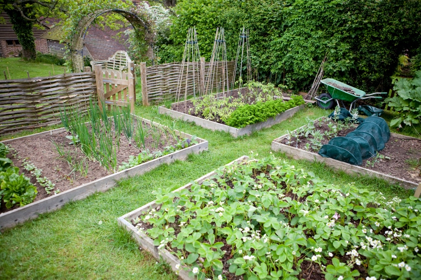 Modern Garden Layout