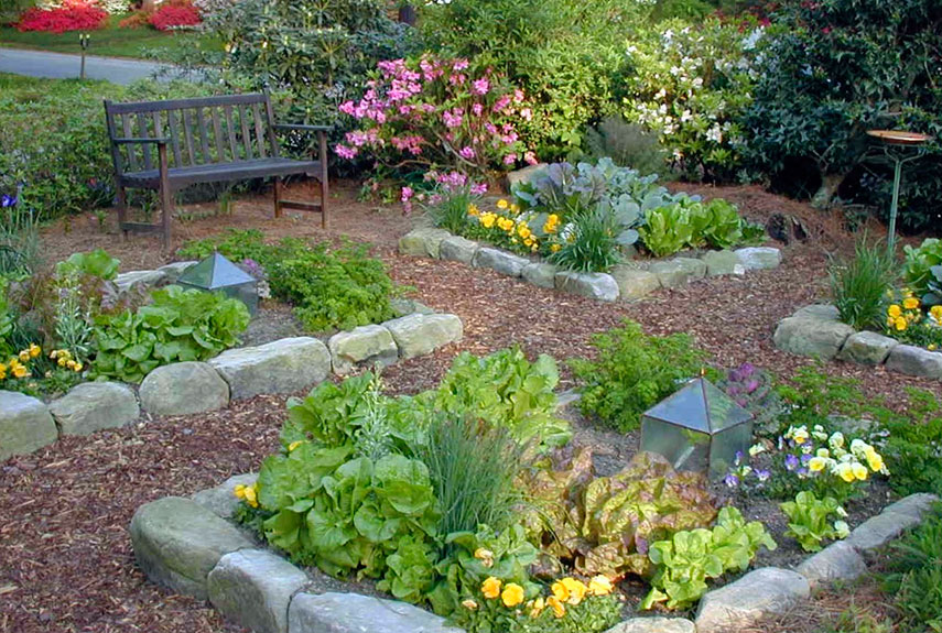New Garden Layout