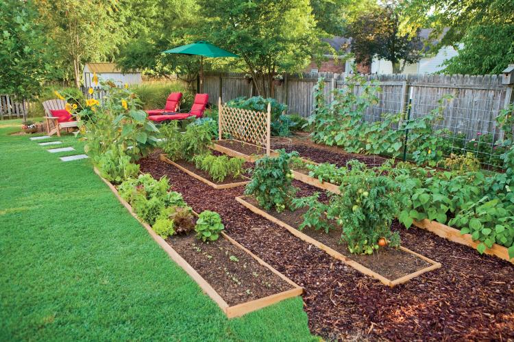 Online Backyard Garden Idea