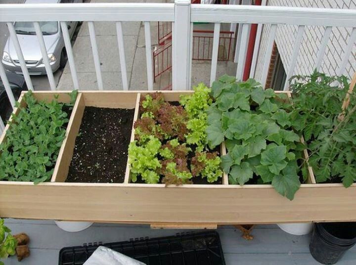Patio Garden Idea