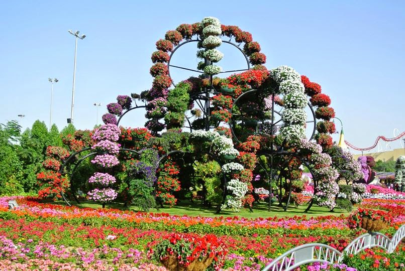 Save Flower Garden Image