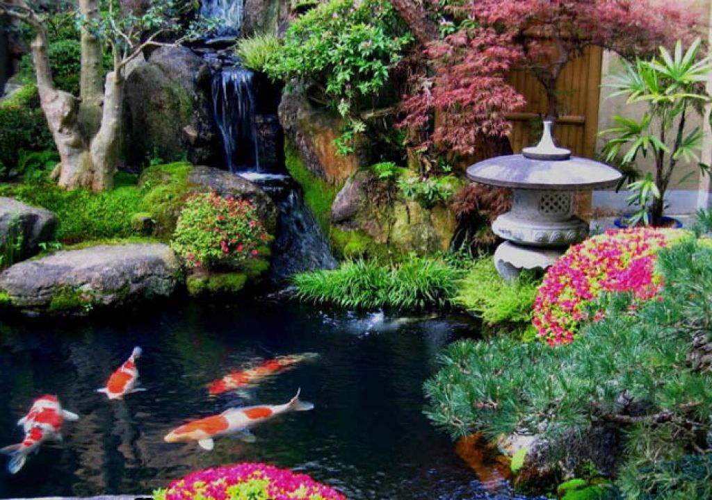 Online Share Japanese Garden Idea