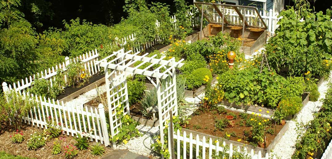 Unique Vegetable Garden Idea